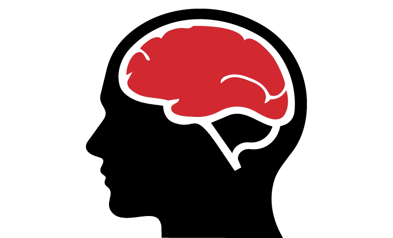 Personal Injury Lawyers Serving The Northwest Territories 20 Brain Injuries